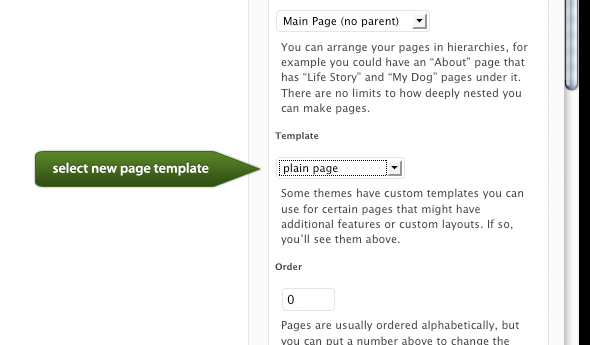 New Page Template